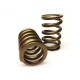 Cat Cams Valve Springs