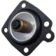 Diaphragms Diaphragms