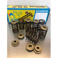 1.4 TU Peugeot 8v CatCams Springs & Retainers
